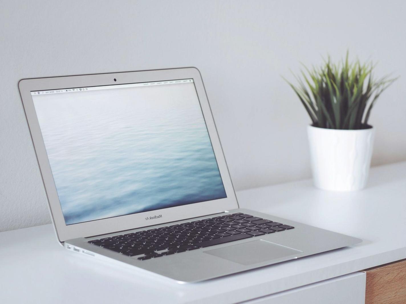 Приклад макрофотографії демонструє деталізацію та мистецький підхід до зйомки